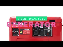 5 - 17kw Dual Fuel CNG Generator Set Silent Inverter LPG Generator Household